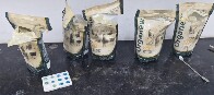 PF intercepta cerca de 80 kg de coca&iacute;na enviados pelos Correios de Rond&ocirc;nia para o Nordeste
