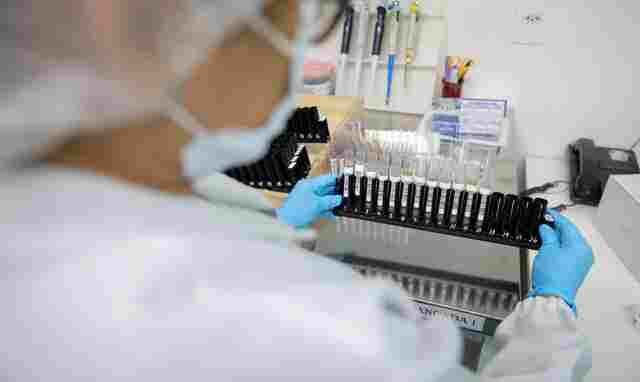 Mal&aacute;ria: Anvisa autoriza teste em humanos de vacina 100% brasileira
