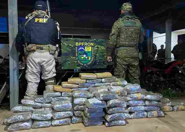 For&ccedil;as de seguran&ccedil;a apreendem mais de 100 kg de skunk avaliados em R$ 1,24 milh&atilde;o