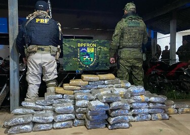 For&ccedil;as de seguran&ccedil;a apreendem mais de 100 kg de skunk avaliados em R$ 1,24 milh&atilde;o