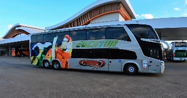Eleitor pode viajar de gra&ccedil;a para votar em outros munic&iacute;pios de Rond&ocirc;nia