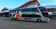 Eleitor pode viajar de gra&ccedil;a para votar em outros munic&iacute;pios de Rond&ocirc;nia